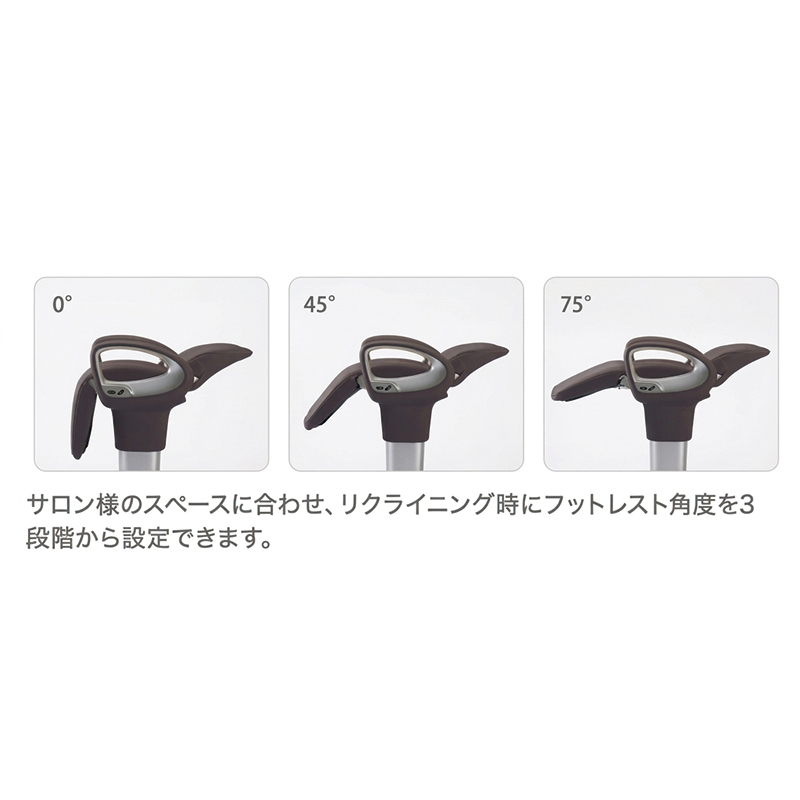 リザーブシャンプーイス RS-001 EX