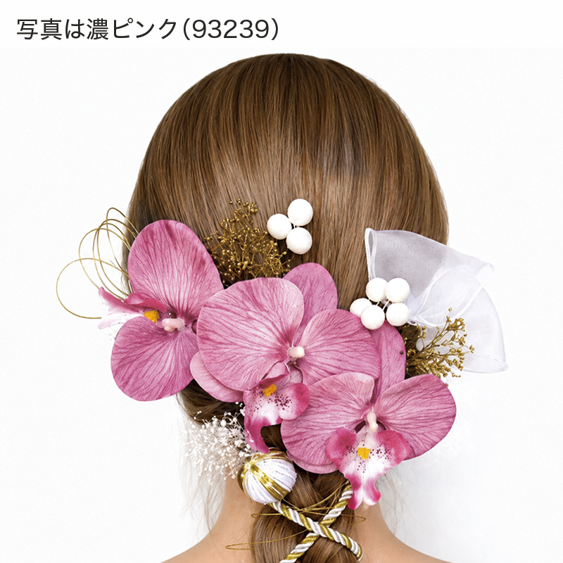 胡蝶蘭 Uピン15点セット
