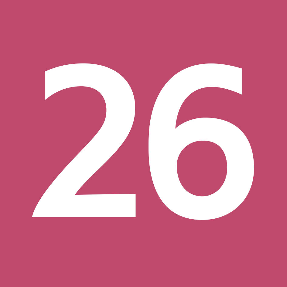 26 カーネーションピンク