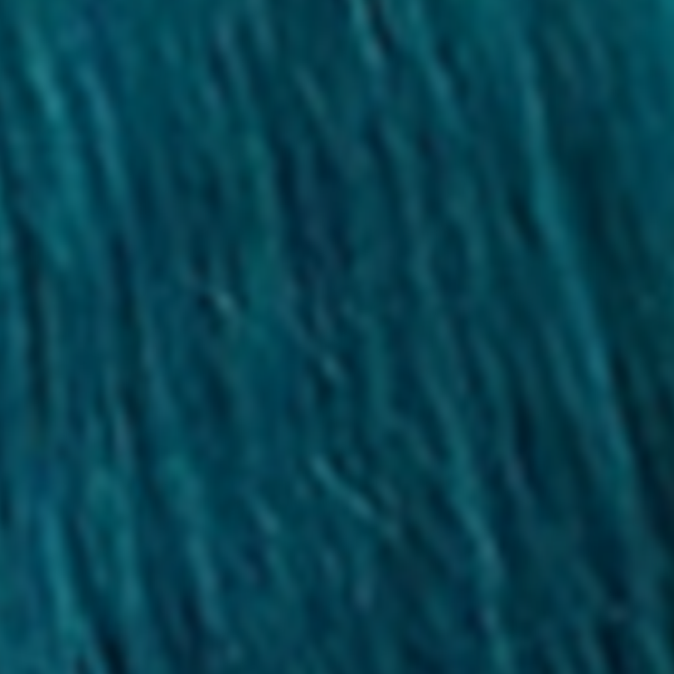 エンチャンティッドフォレスト