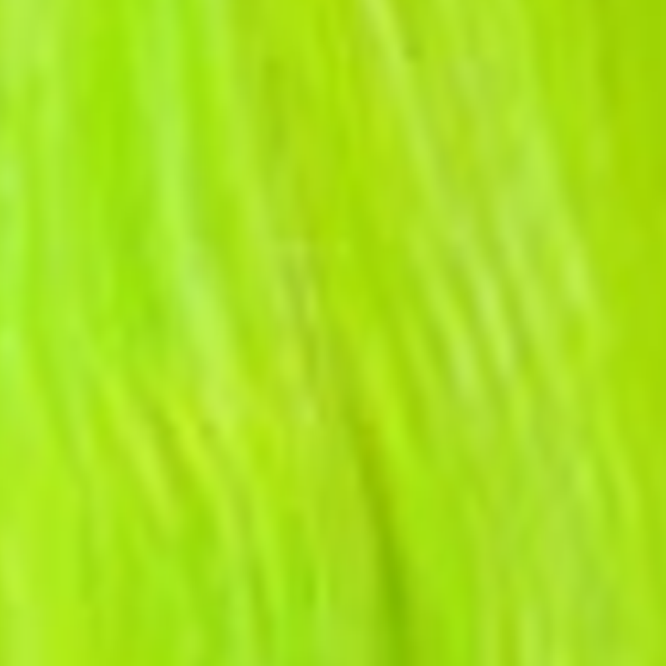 エレクトリックリザード