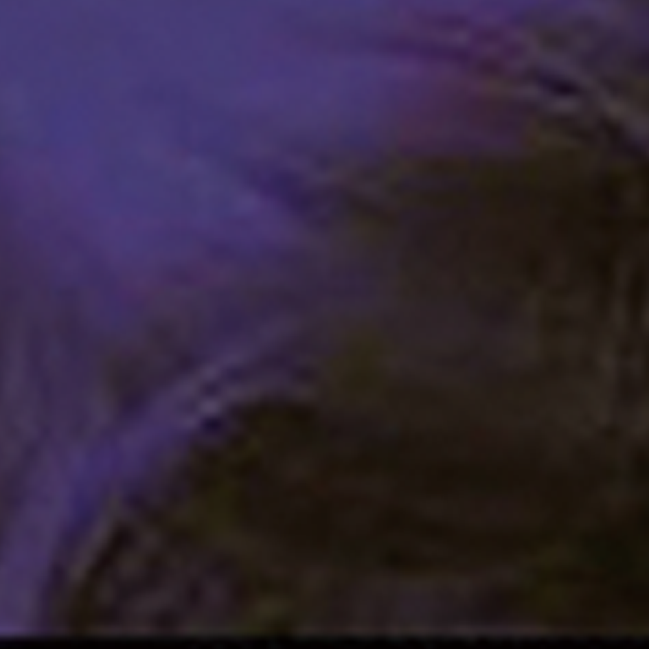 ブルーパンサー