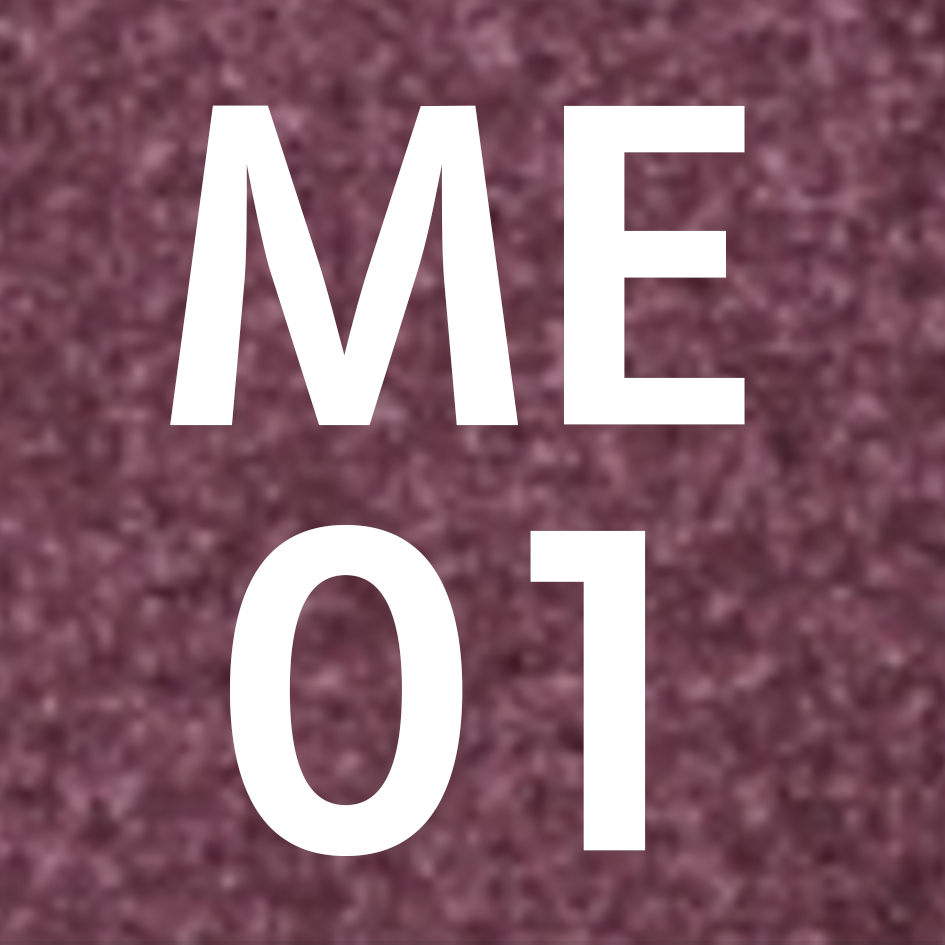 ME01