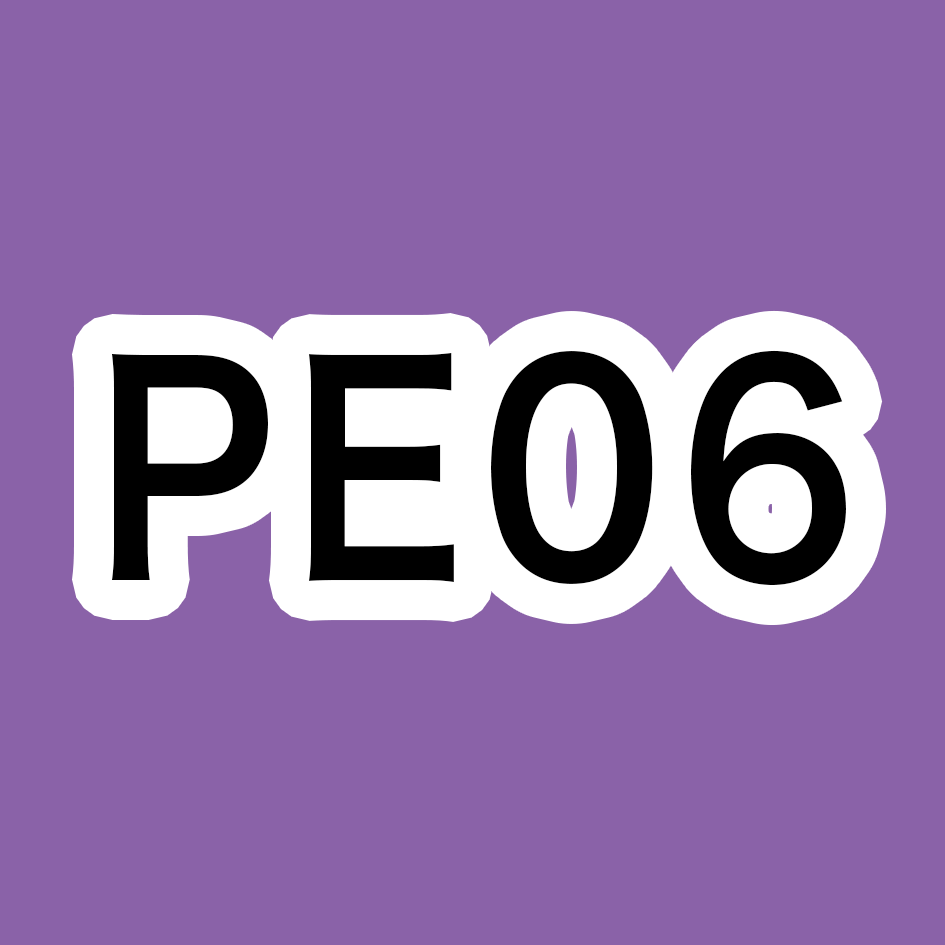 PE06