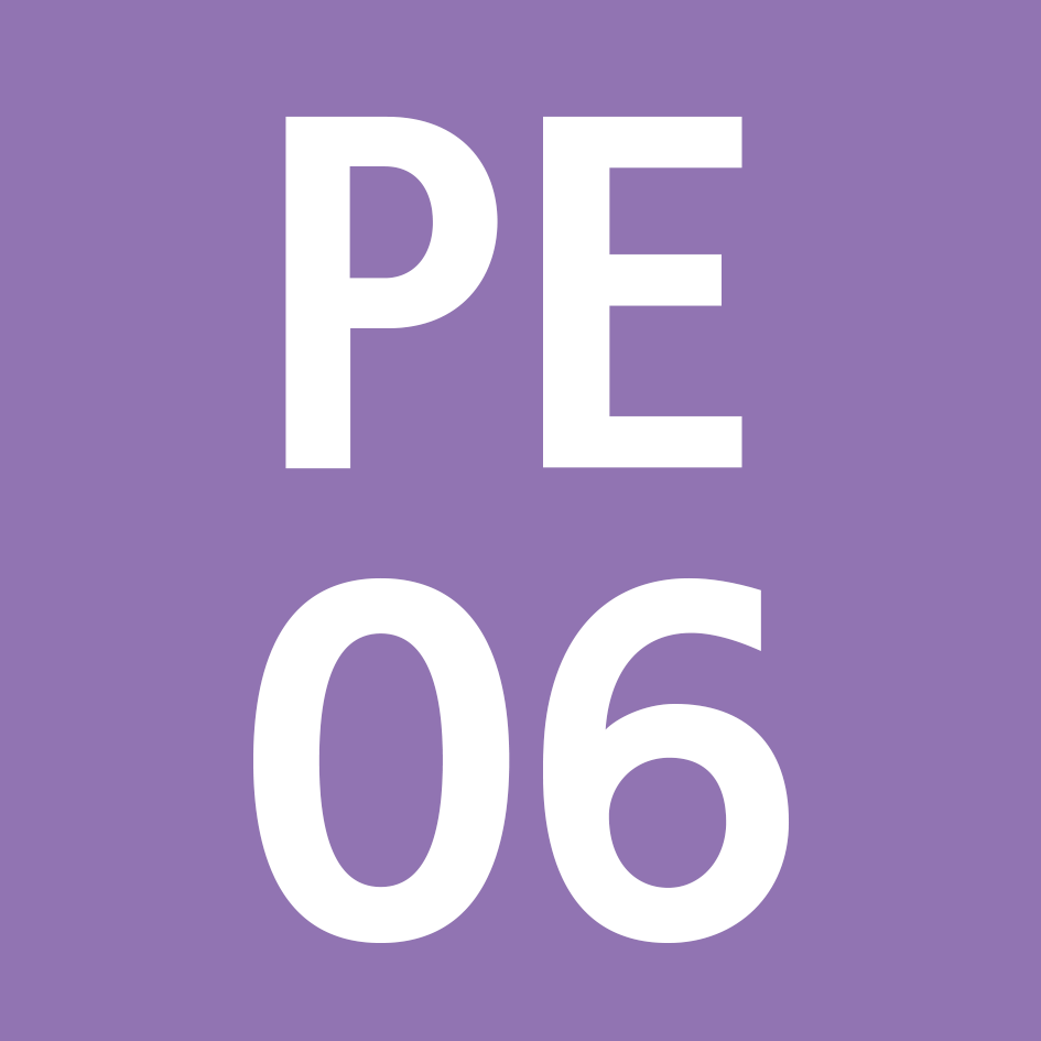 PE06