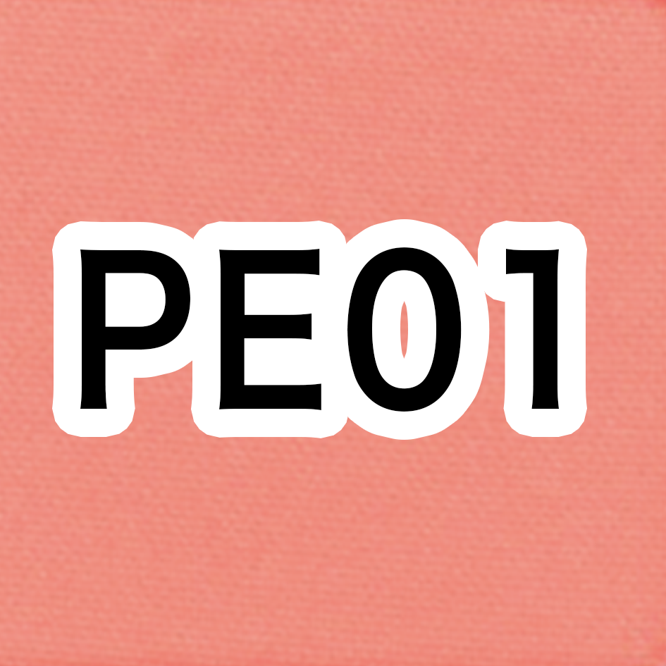 PE01