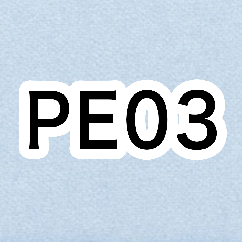 PE03