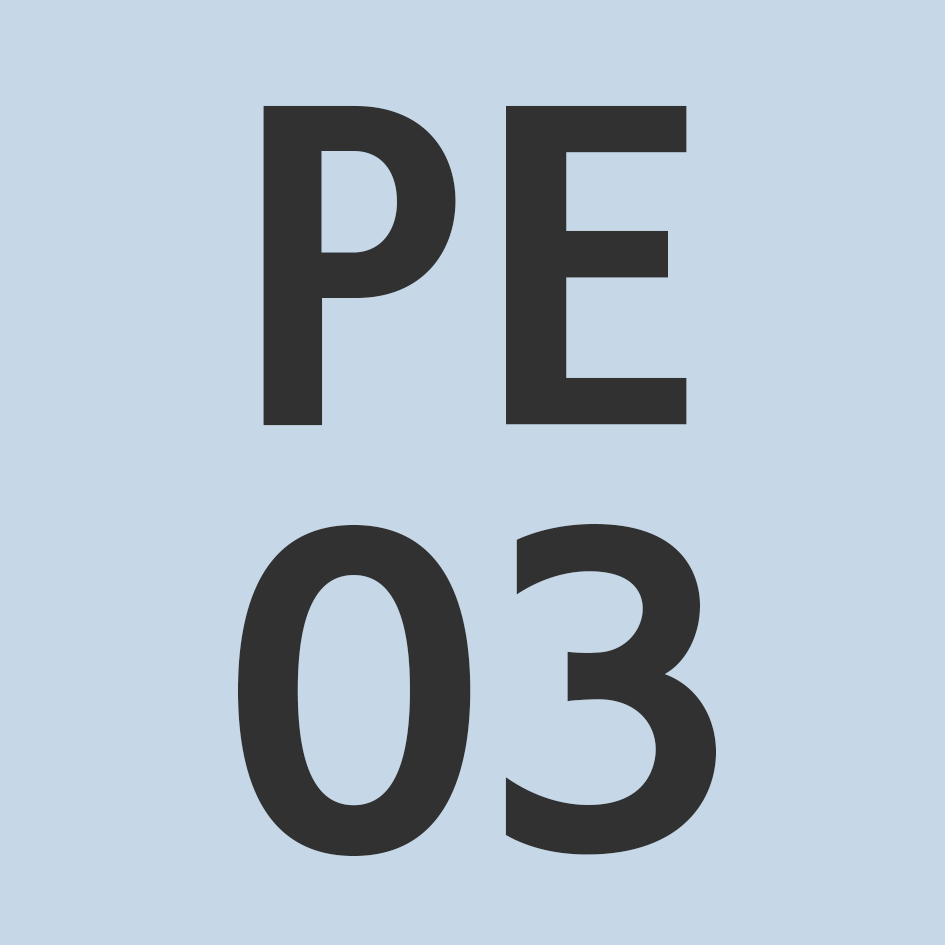 PE03
