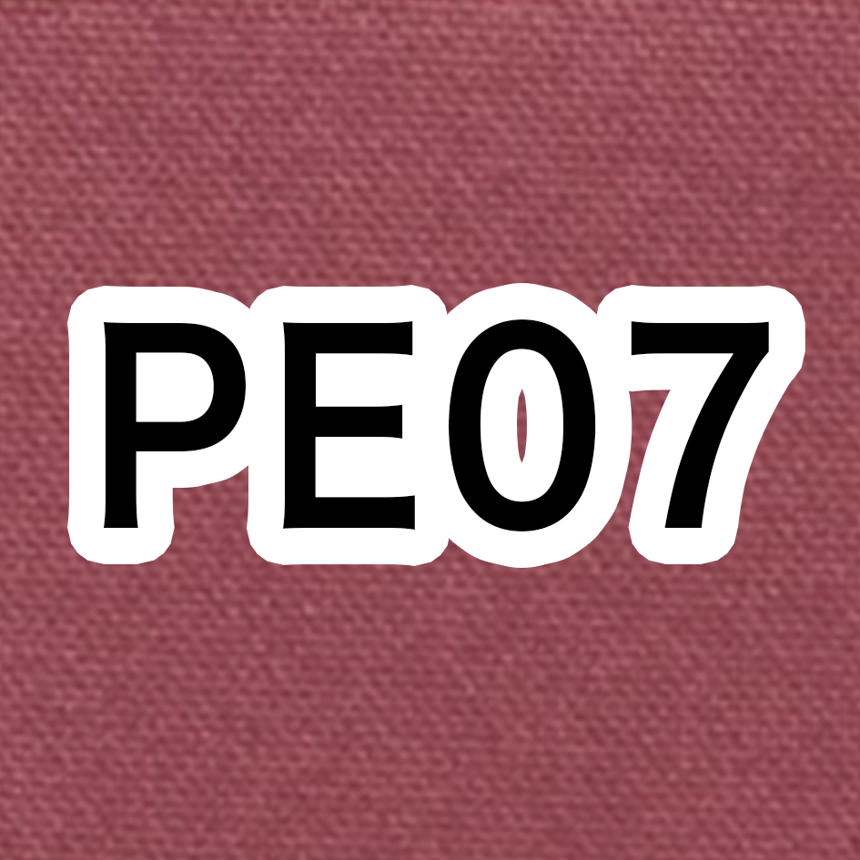 PE07