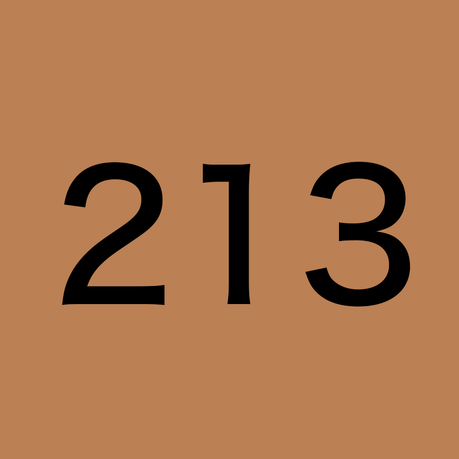 213
