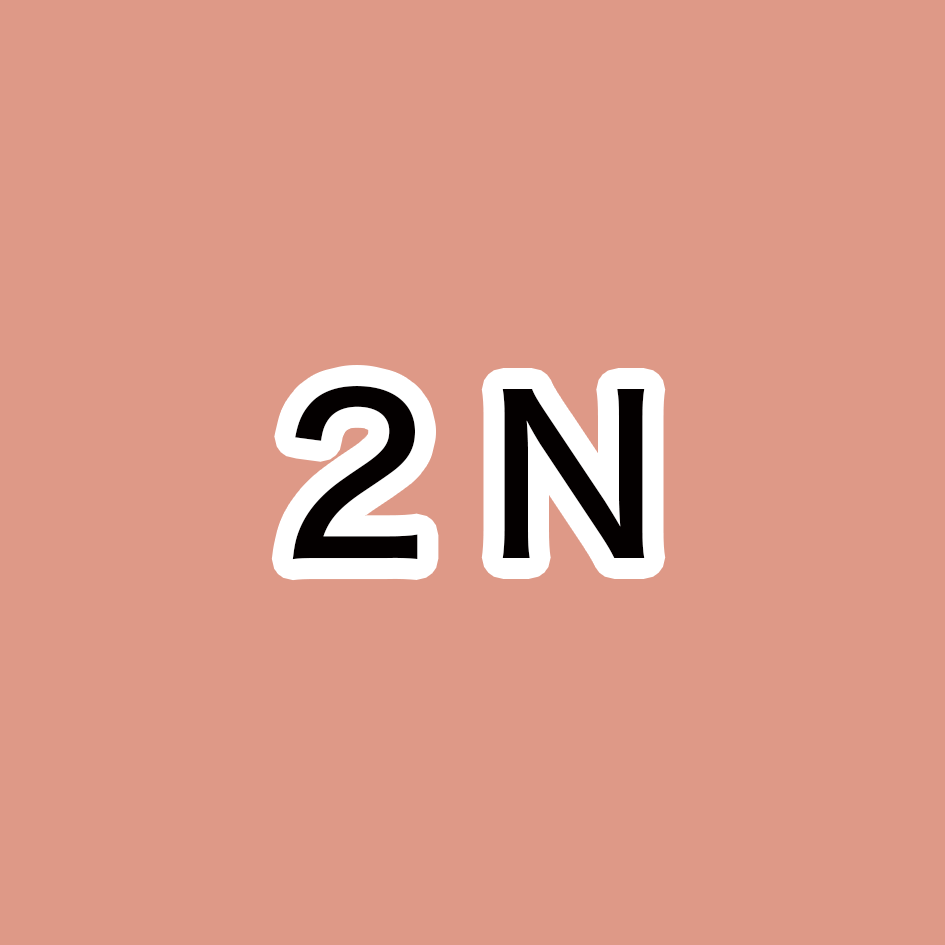 2N