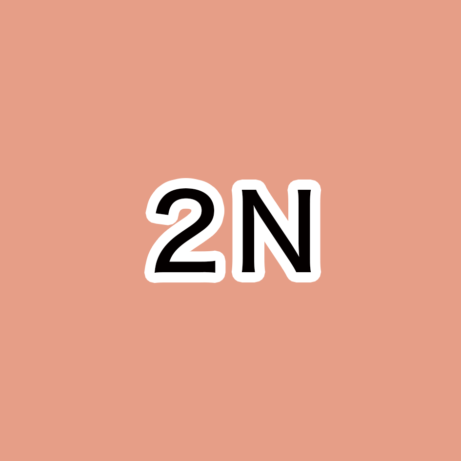 2N