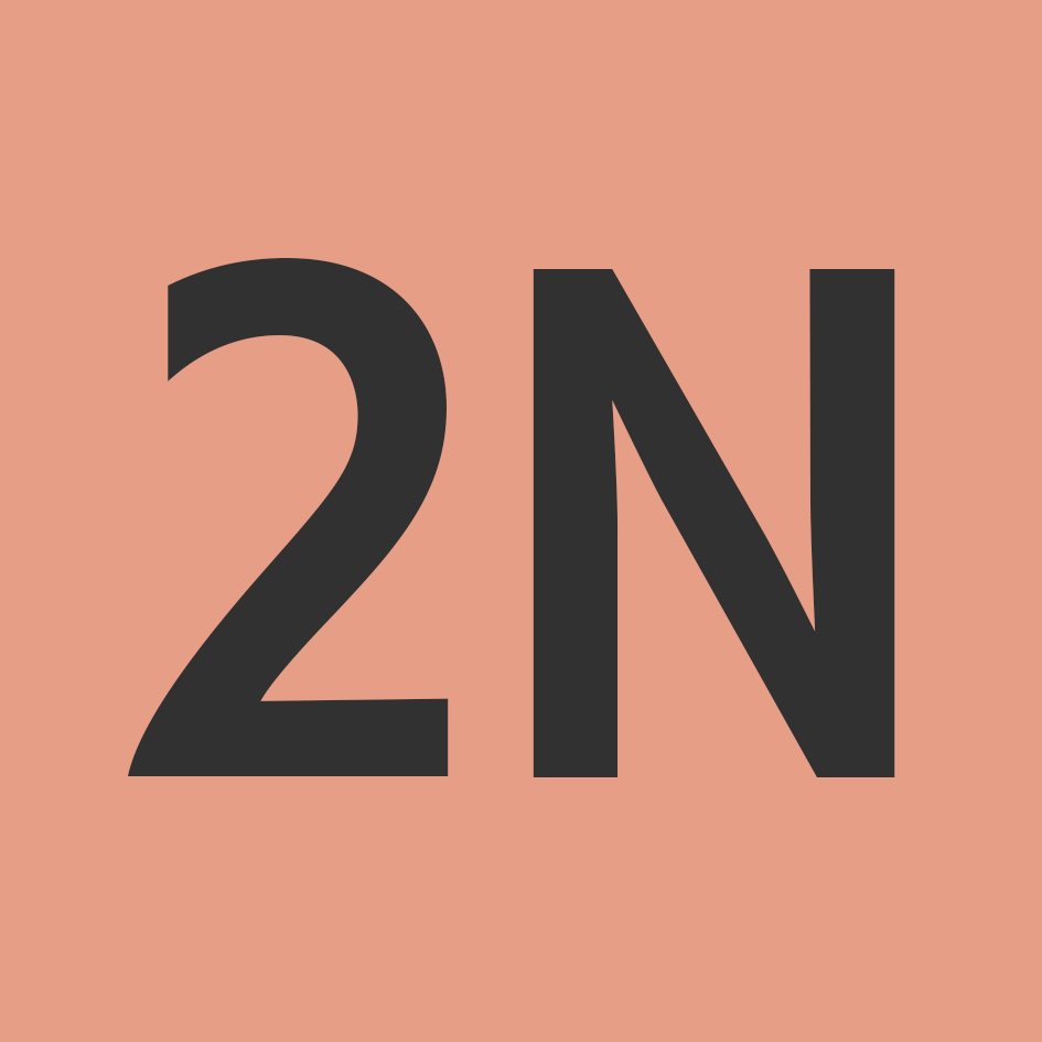 2N