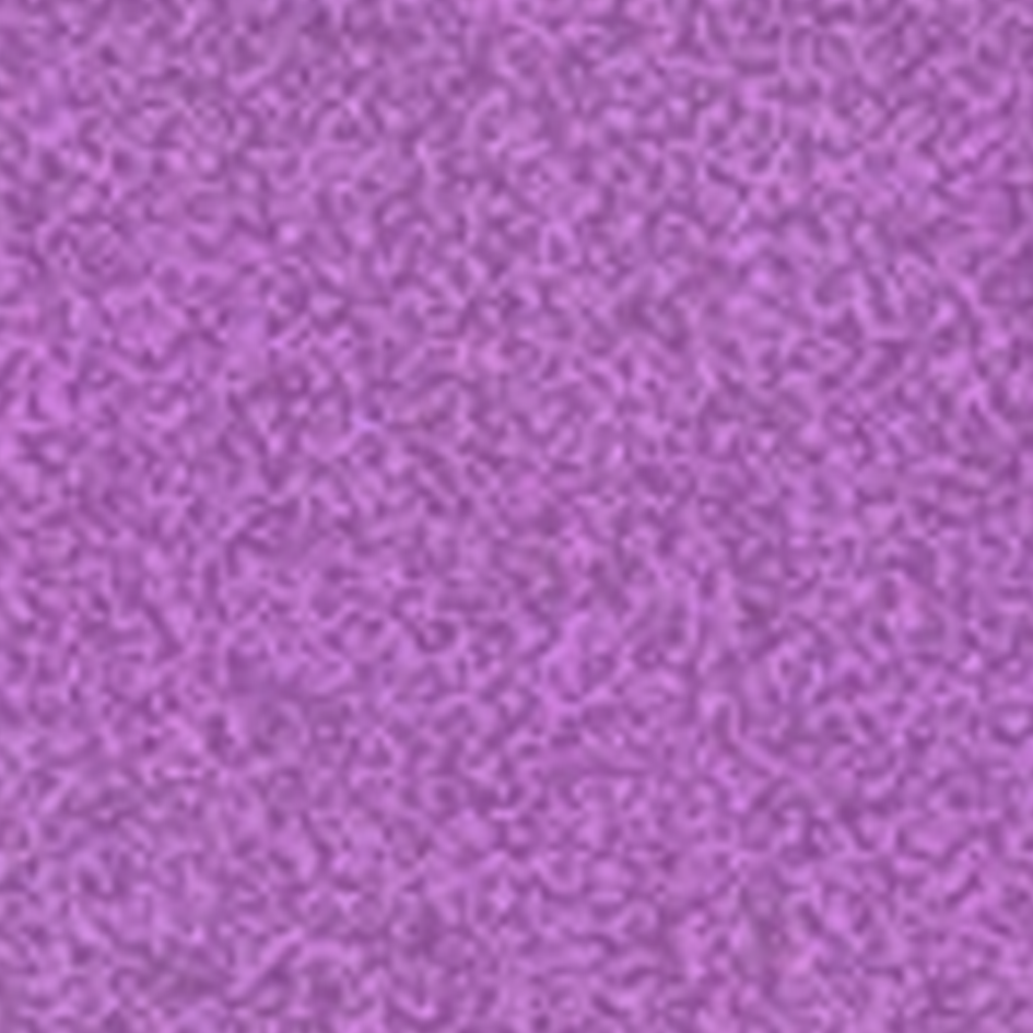 71アイリスパープル