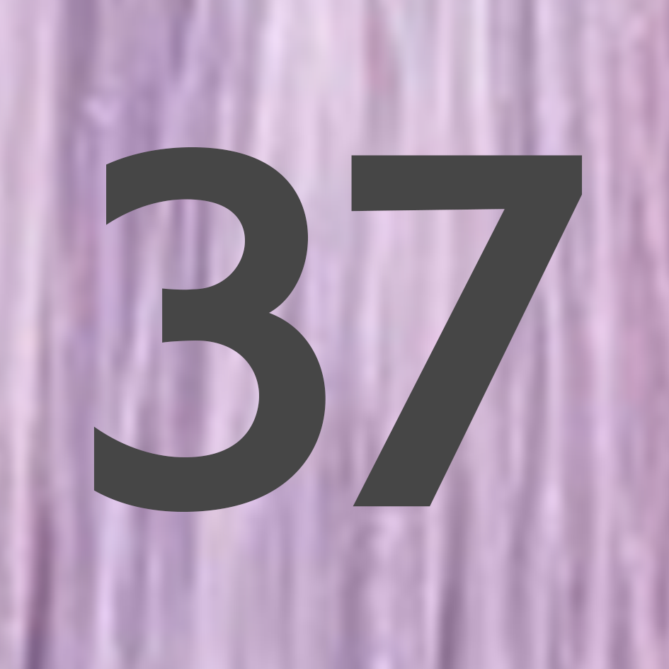 37 ラベンダー