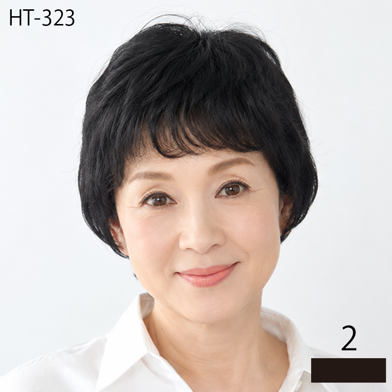 HT-323