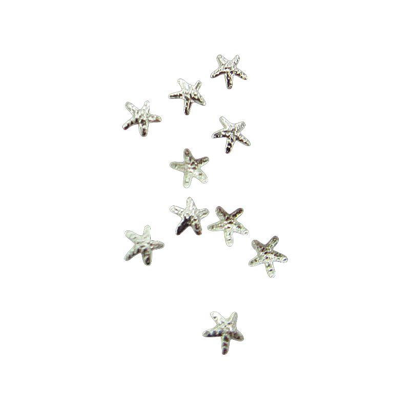 ヒトデ シルバー