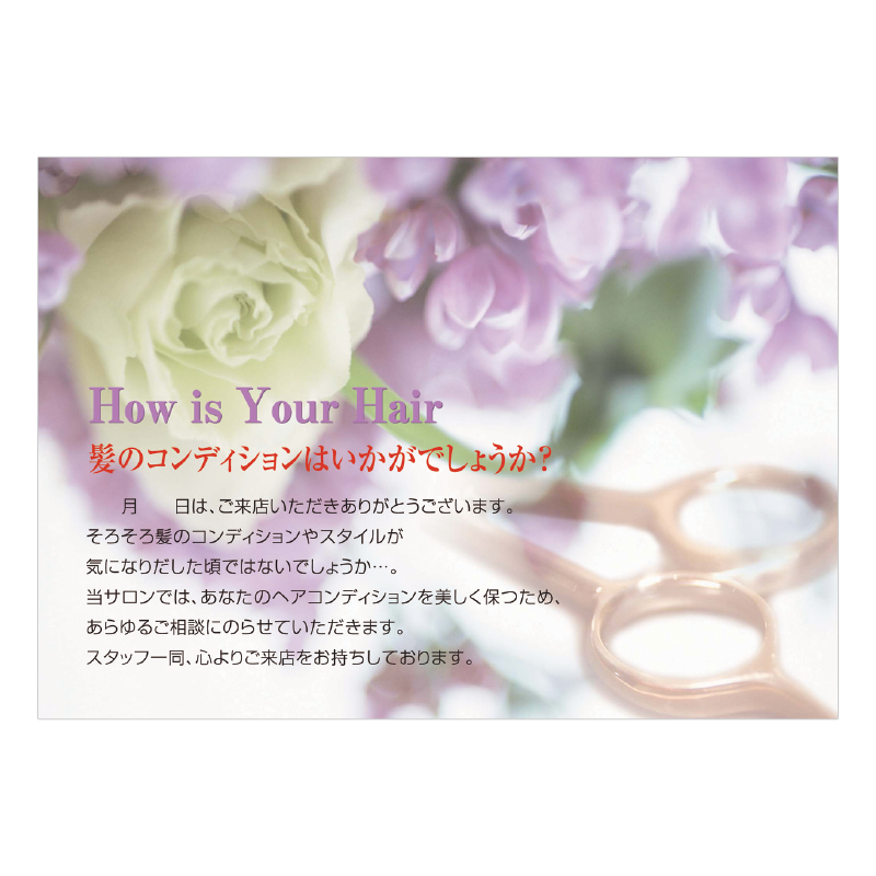 ダイレクトメール