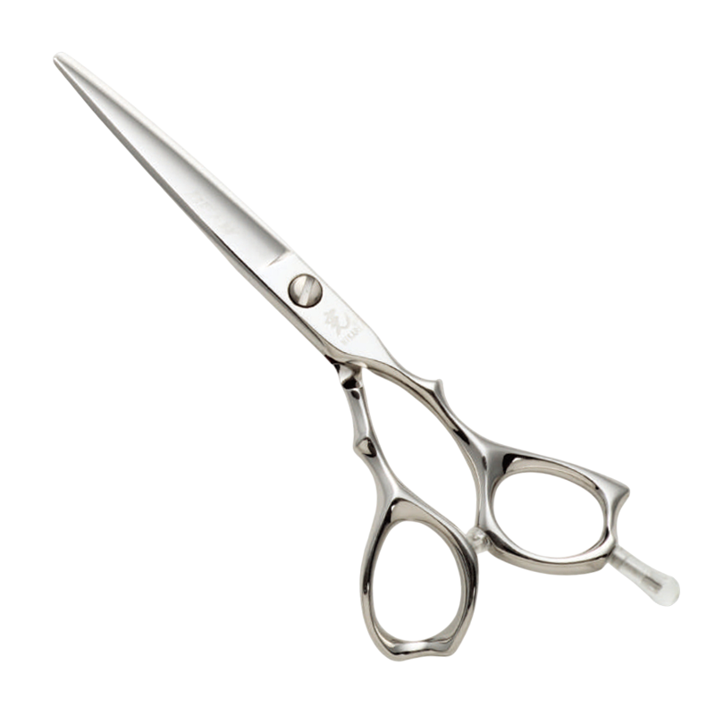 ビームコスモス 161