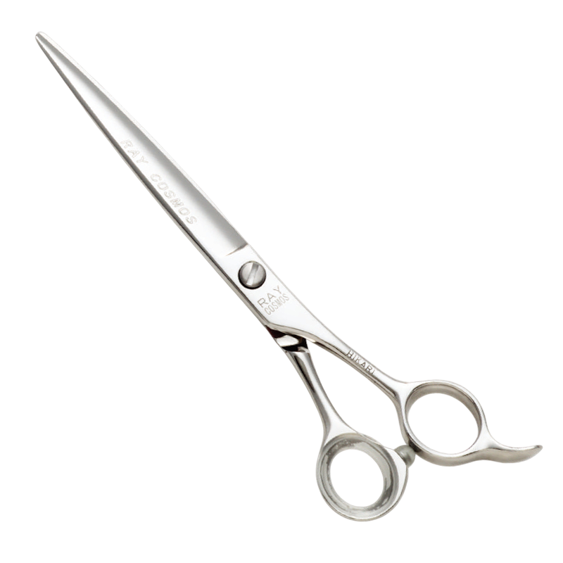 レイコスモス 131