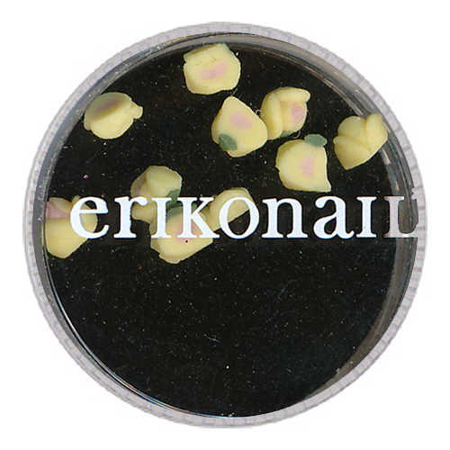 ジュエリーコレクション