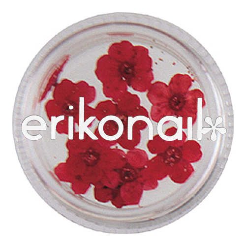 ジュエリーコレクション