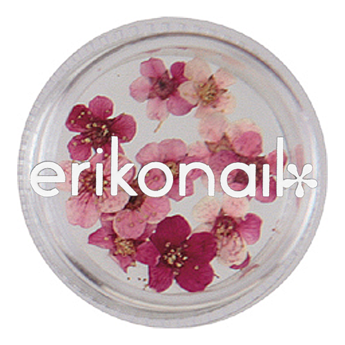 ジュエリーコレクション