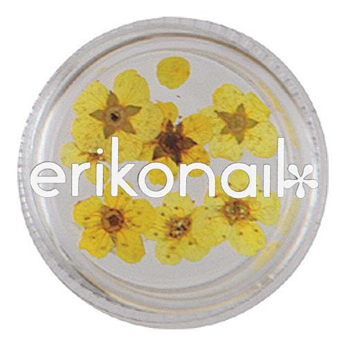 ジュエリーコレクション